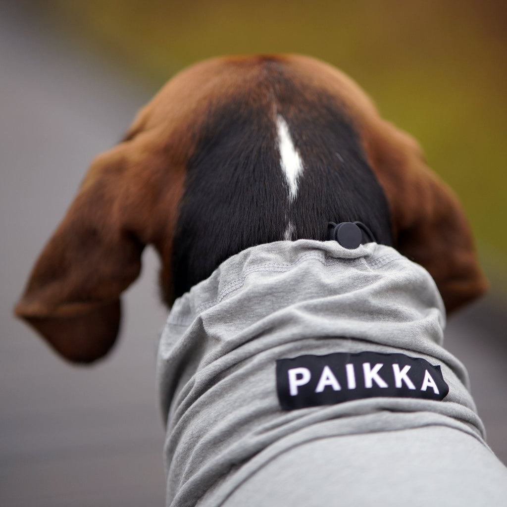 PAIKKA Recovery Overall for dog