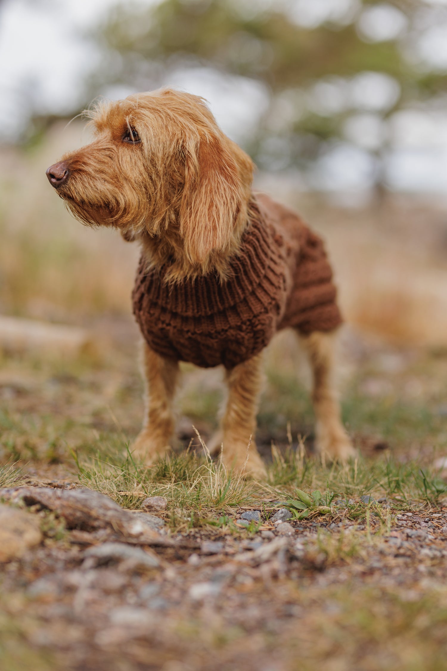 PAIKKA Handmade Knit Sweater camel