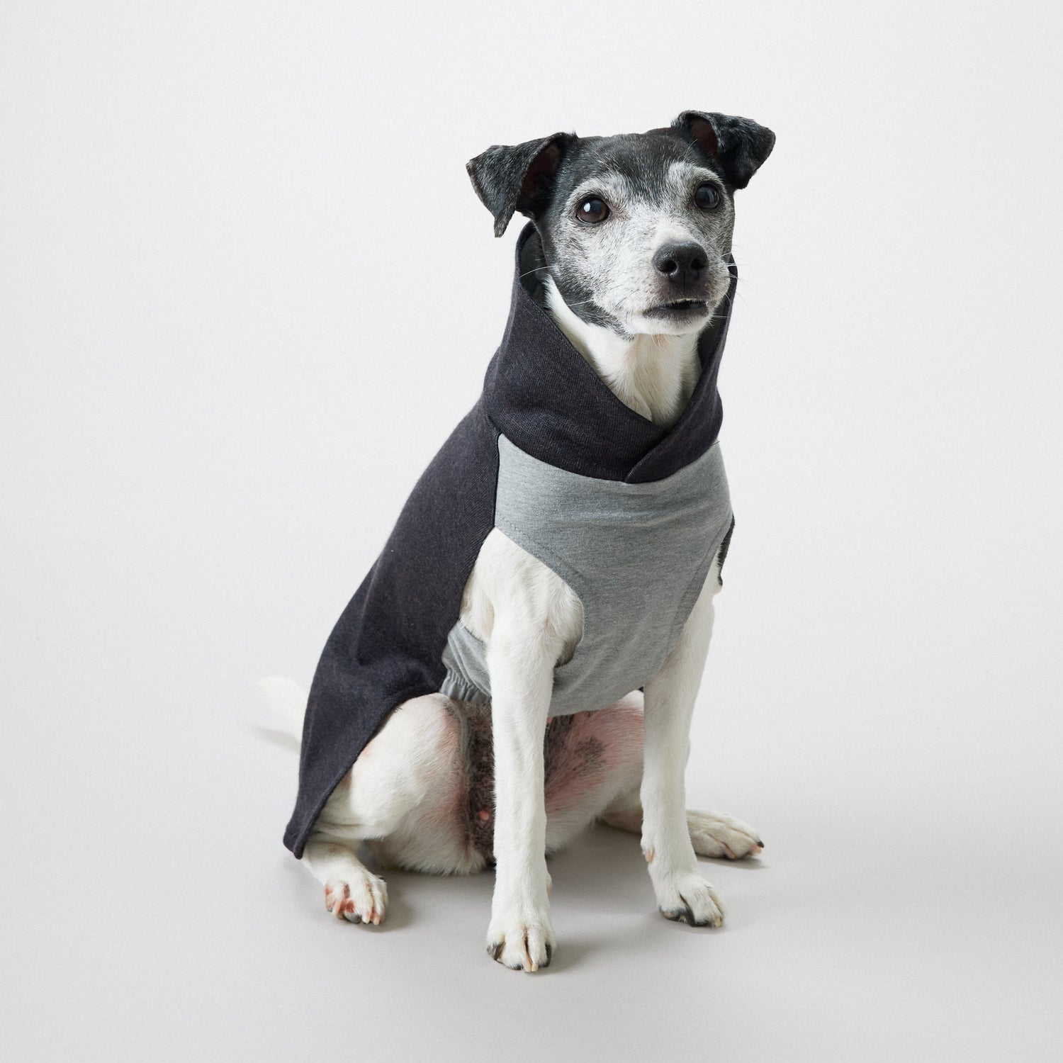 PAIKKA Recovery Shirt Grey for Dogs