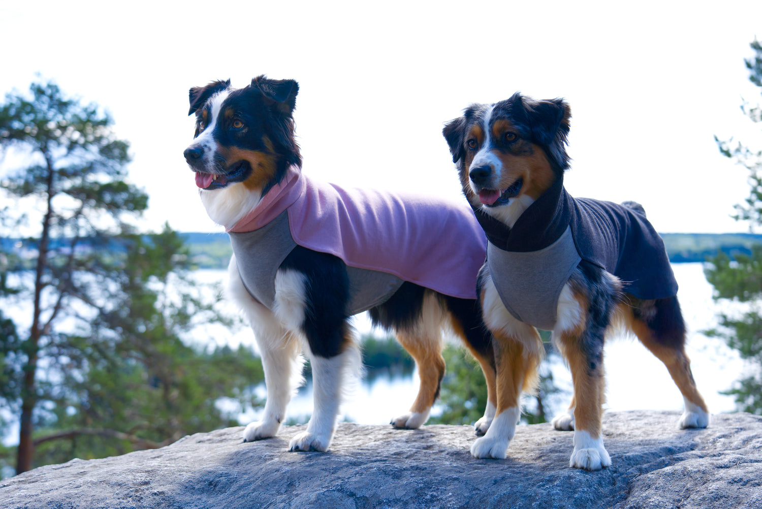 PAIKKA Recovery Shirt Pink for Dogs