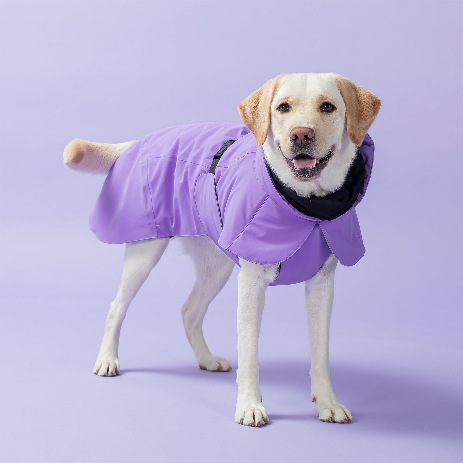 PAIKKA Visibility Winter Jacket Lilac for Dogs