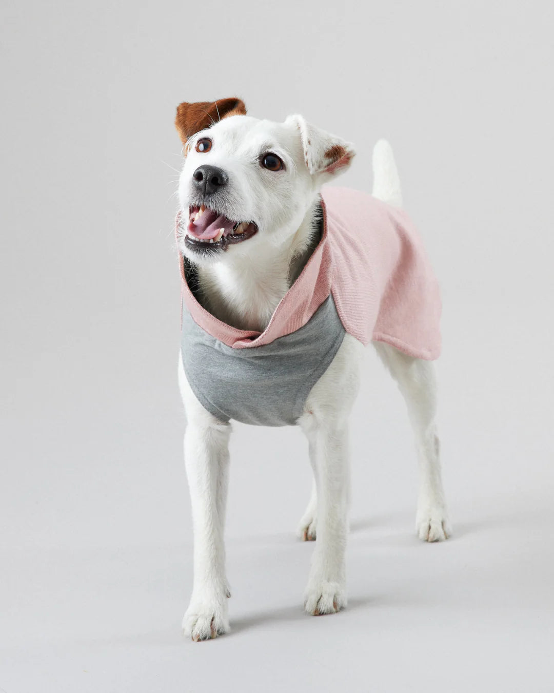 Recovery Shirt Pink for Dogs