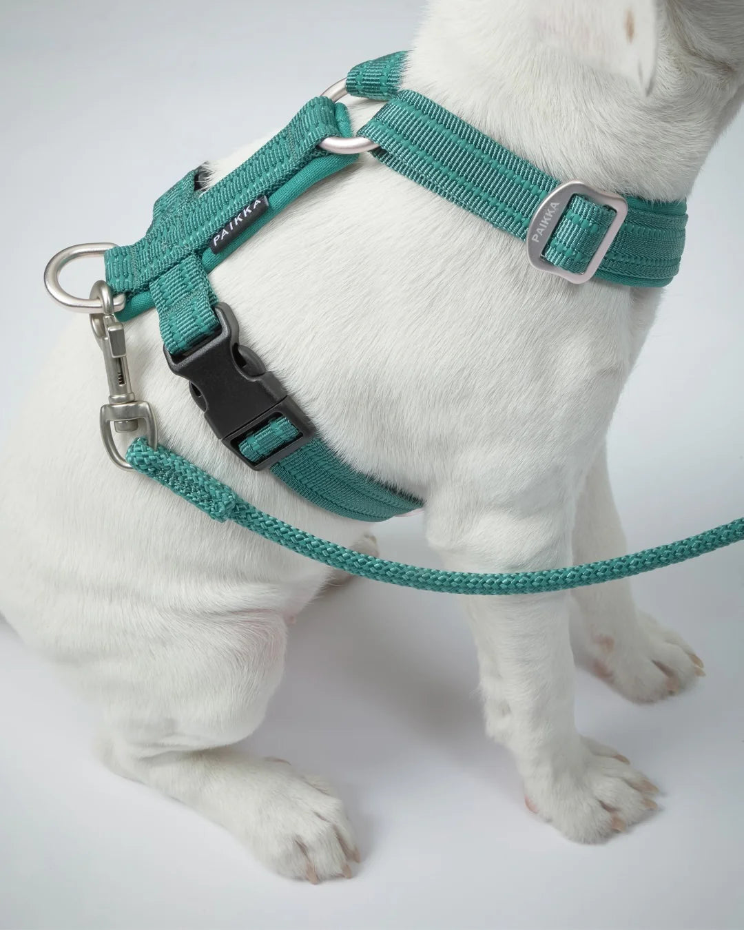 Easy Harness Emerald for Dogs