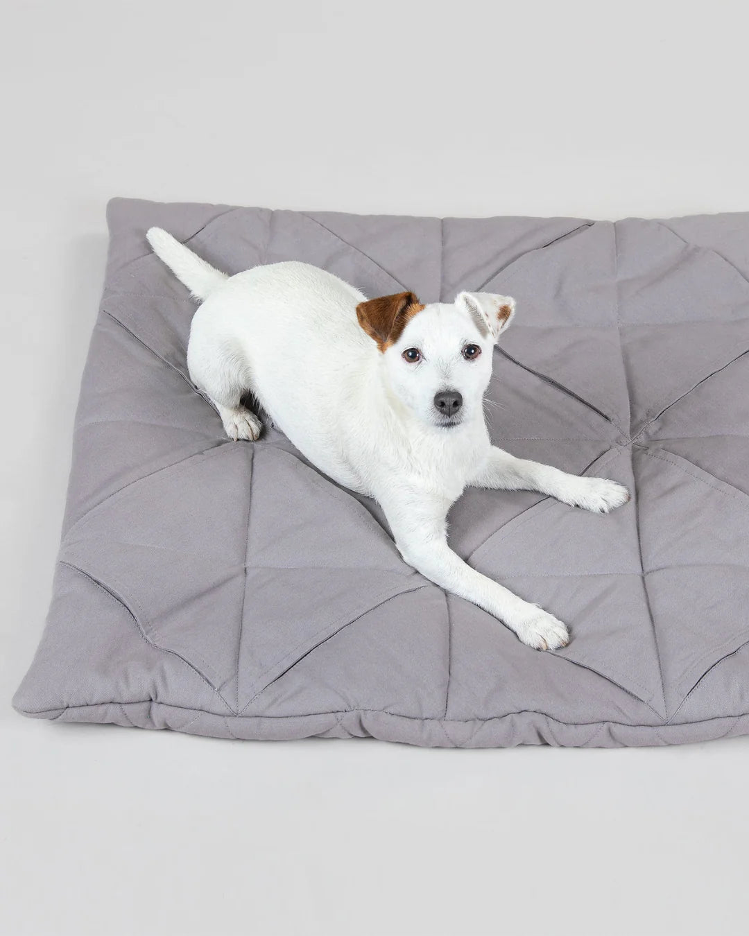 Square Grey Playmat for Dogs