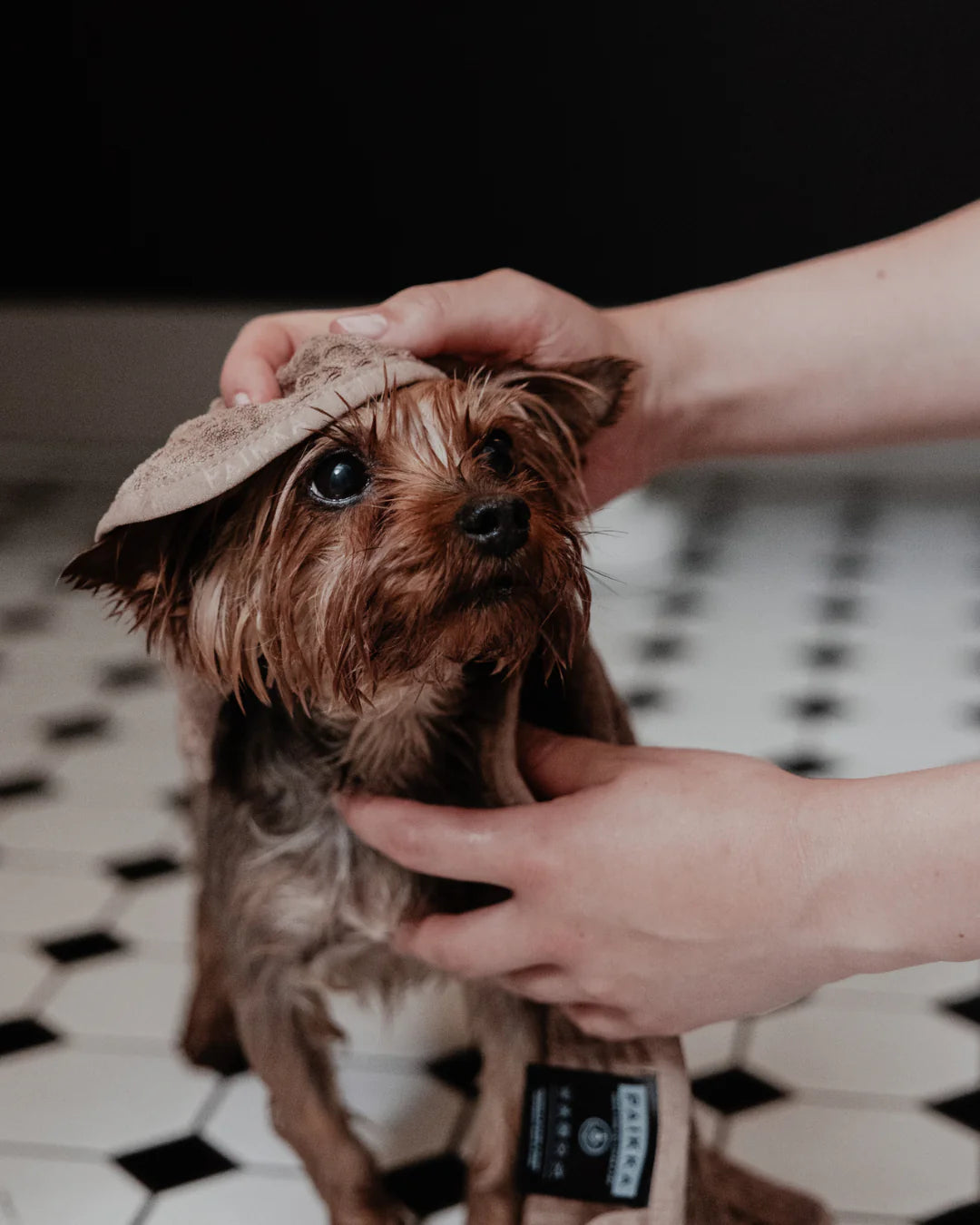 Drying Towel 30x50cm Taupe for Dogs