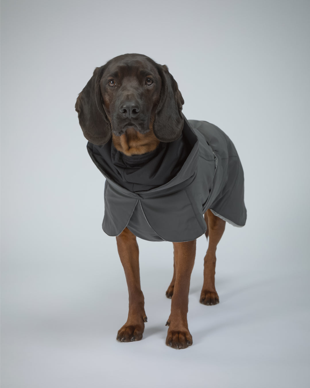 PAIKKA Visibility Winter Jacket Dark for Dogs