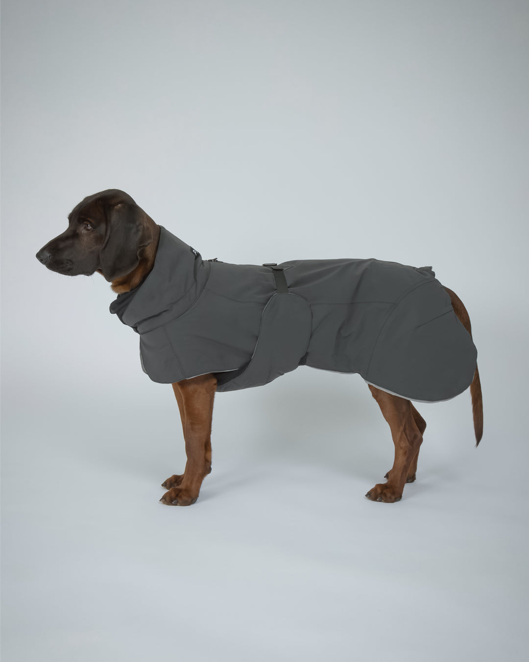 PAIKKA Visibility Winter Jacket Dark for Dogs