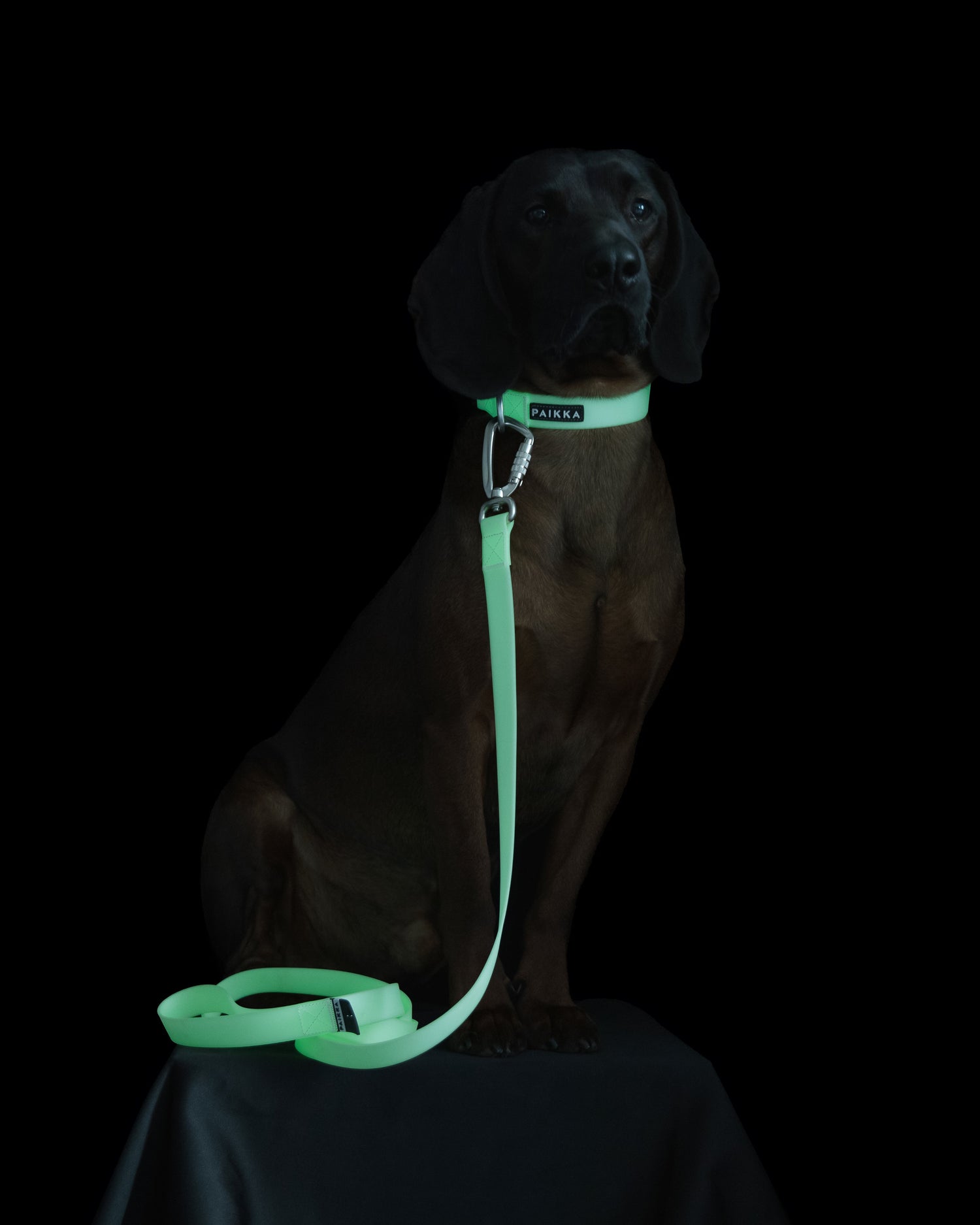 PAIKKA Glow Collar for Dogs