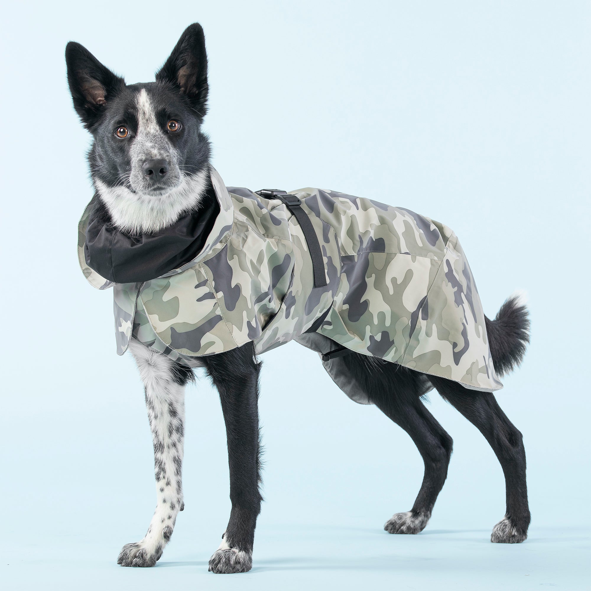 Camouflage waterproof dog clearance coat